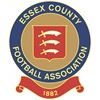Essex County Football Association United Kingdom Jobs Expertini